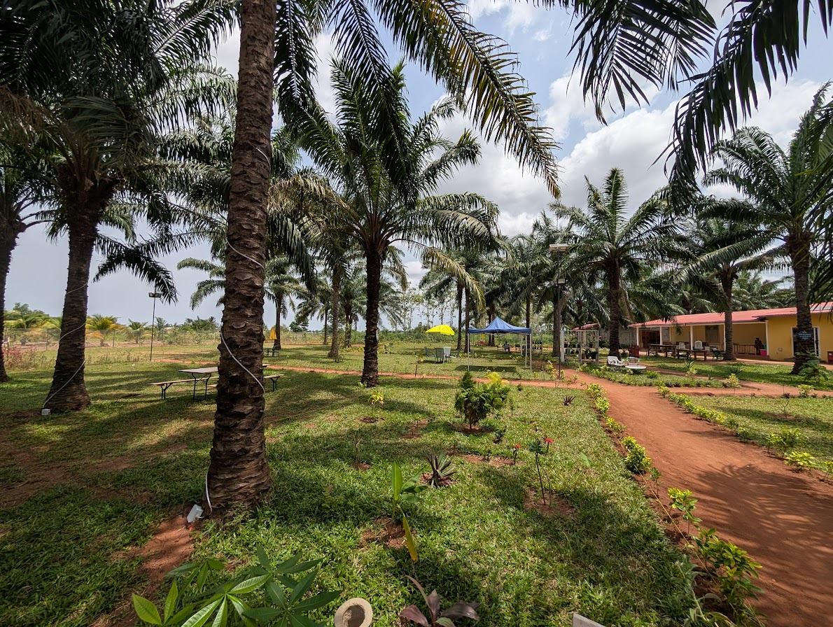 Le Jardin Joseph sous les palmiers, à Agonssoudja au Bénin
