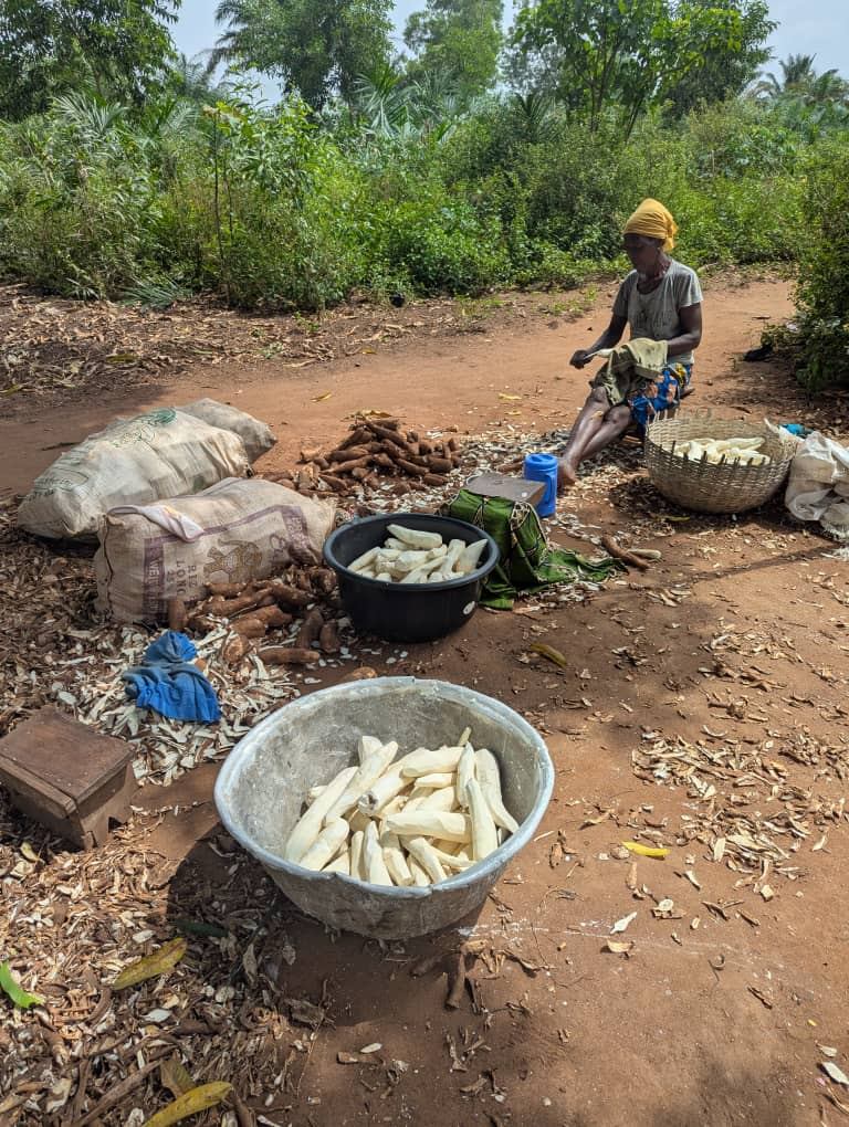 Une femme prépare la récolte au village d'Agonssoudja